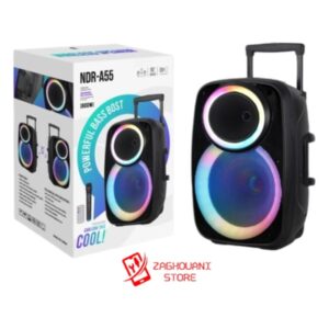 NDR-A55 Portable Pull Rod Speaker with Wireless Mic